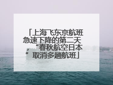 上海飞东京航班急速下降的第二天，“春秋航空日本”取消多趟航班