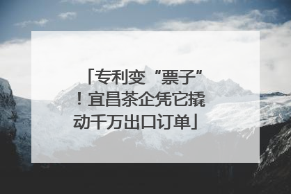 专利变“票子”！宜昌茶企凭它撬动千万出口订单