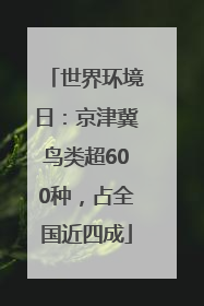 世界环境日:京津冀鸟类超600种,占全国近四成