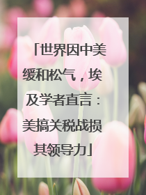 世界因中美缓和松气，埃及学者直言：美搞关税战损其领导力