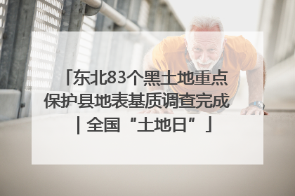 东北83个黑土地重点保护县地表基质调查完成｜全国“土地日”