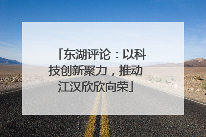 东湖评论：以科技创新聚力，推动江汉欣欣向荣