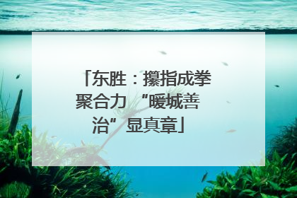 东胜：攥指成拳聚合力 “暖城善治”显真章
