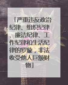 严重违反政治纪律、组织纪律、廉洁纪律、工作纪律和生活纪律的罗璇，非法收受他人巨额财物