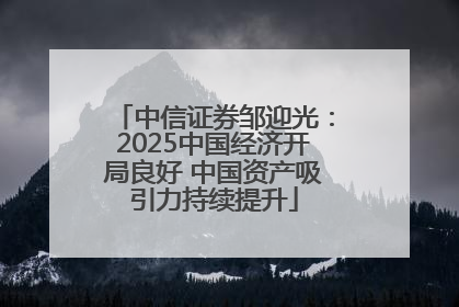 中信证券邹迎光：2025中国经济开局良好 中国资产吸引力持续提升