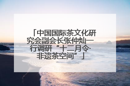 中国国际茶文化研究会副会长张仲灿一行调研“十二月令·非遗茶空间”