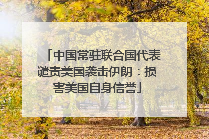 中国常驻联合国代表谴责美国袭击伊朗：损害美国自身信誉