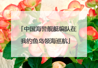 中国海警舰艇编队在我钓鱼岛领海巡航