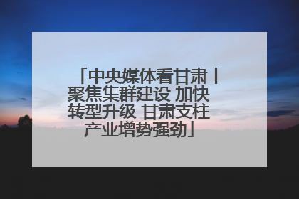 中央媒体看甘肃丨聚焦集群建设 加快转型升级 甘肃支柱产业增势强劲