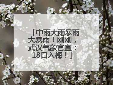 中雨大雨暴雨大暴雨！刚刚，武汉气象官宣：18日入梅！