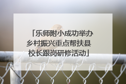 乐师附小成功举办乡村振兴重点帮扶县校长跟岗研修活动