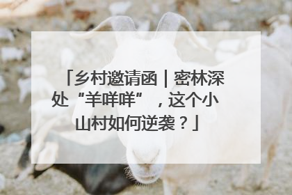 乡村邀请函|密林深处“羊咩咩”,这个小山村如何逆袭?