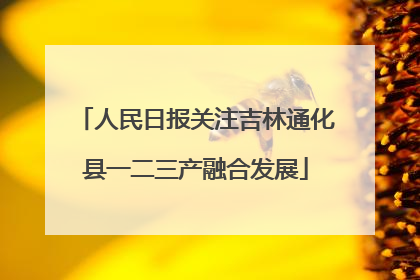 人民日报关注吉林通化县一二三产融合发展