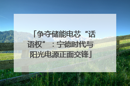 争夺储能电芯“话语权”：宁德时代与阳光电源正面交锋