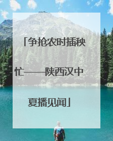 争抢农时插秧忙——陕西汉中夏播见闻