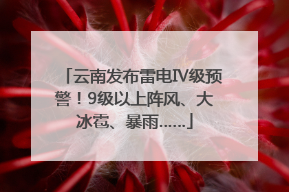 云南发布雷电Ⅳ级预警！9级以上阵风、大冰雹、暴雨……