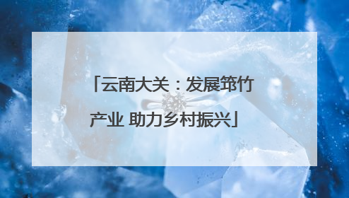 云南大关：发展筇竹产业 助力乡村振兴