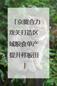 京冀合力攻关打造区域粮食单产提升样板田