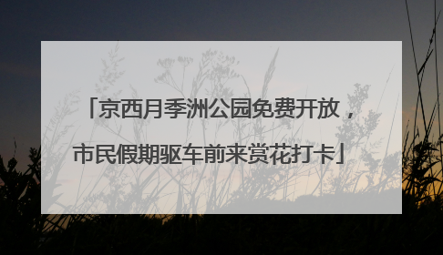 京西月季洲公园免费开放，市民假期驱车前来赏花打卡