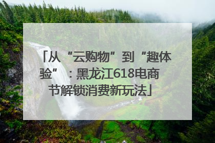从“云购物”到“趣体验”：黑龙江618电商节解锁消费新玩法