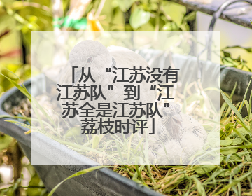 从“江苏没有江苏队”到“江苏全是江苏队” 荔枝时评