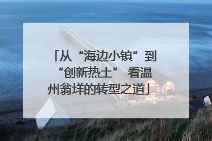 从“海边小镇”到“创新热土” 看温州翁垟的转型之道