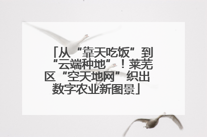 从“靠天吃饭”到“云端种地”！莱芜区“空天地网”织出数字农业新图景
