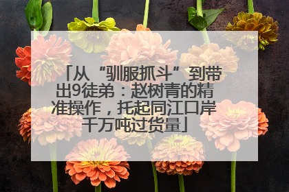 从“驯服抓斗”到带出9徒弟：赵树青的精准操作，托起同江口岸千万吨过货量