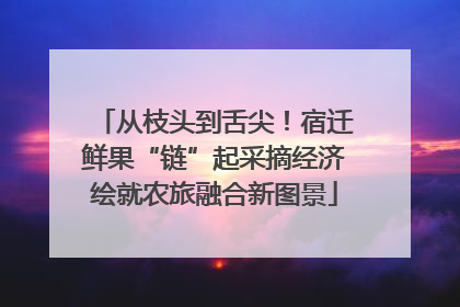 从枝头到舌尖！宿迁鲜果“链”起采摘经济绘就农旅融合新图景