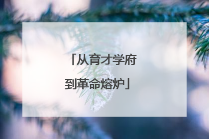 从育才学府到革命熔炉