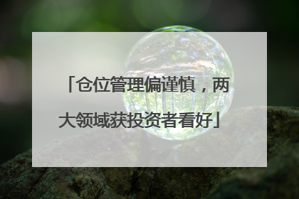 仓位管理偏谨慎，两大领域获投资者看好