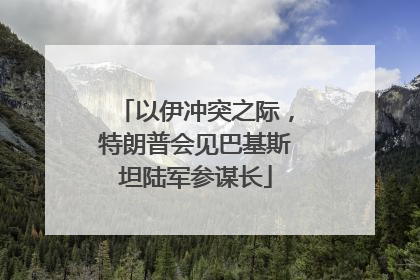 以伊冲突之际，特朗普会见巴基斯坦陆军参谋长