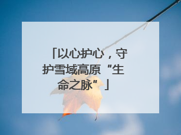 以心护心，守护雪域高原“生命之脉”