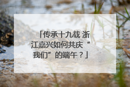 传承十九载 浙江嘉兴如何共庆“我们”的端午？