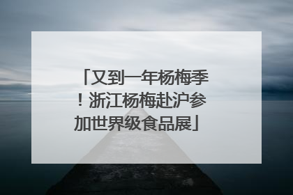 又到一年杨梅季！浙江杨梅赴沪参加世界级食品展