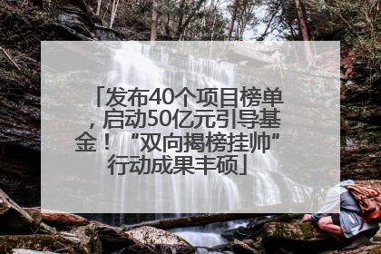 发布40个项目榜单，启动50亿元引导基金！“双向揭榜挂帅”行动成果丰硕
