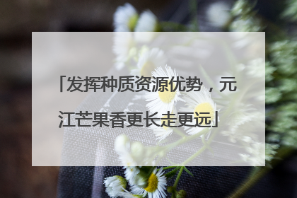 发挥种质资源优势，元江芒果香更长走更远