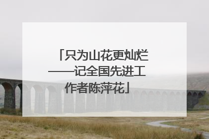 只为山花更灿烂——记全国先进工作者陈萍花