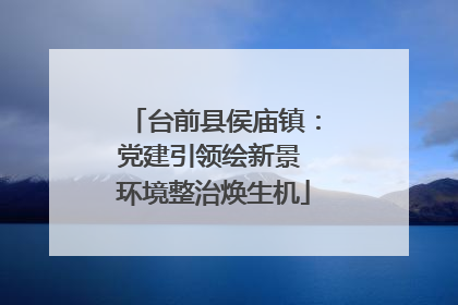 台前县侯庙镇：党建引领绘新景 环境整治焕生机