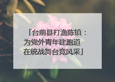 台前县打渔陈镇：为党外青年建跑道 在统战舞台竞风采