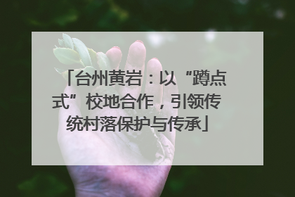 台州黄岩：以“蹲点式”校地合作，引领传统村落保护与传承