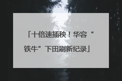 十倍速插秧！华容“铁牛”下田刷新纪录