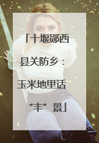 十堰郧西县关防乡：玉米地里话“丰”景