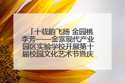 十载韵飞扬 金园桃李芳——金寨现代产业园区实验学校开展第十届校园文化艺术节暨庆“六一”系列活动