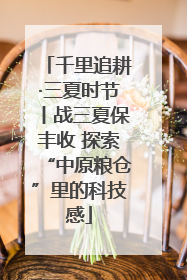 千里追耕·三夏时节丨战三夏保丰收 探索“中原粮仓”里的科技感