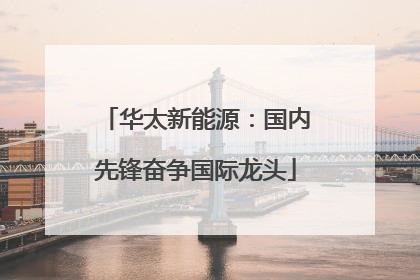 华太新能源：国内先锋奋争国际龙头