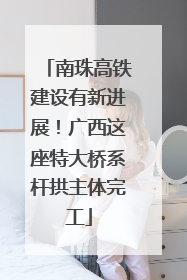 南珠高铁建设有新进展！广西这座特大桥系杆拱主体完工