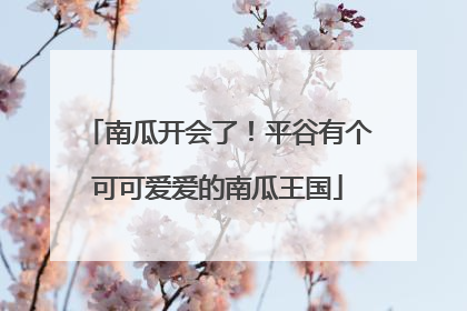 南瓜开会了！平谷有个可可爱爱的南瓜王国