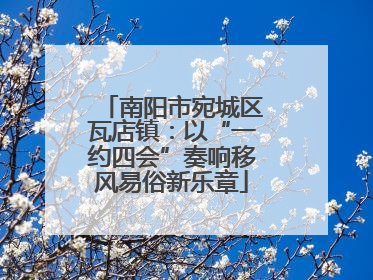 南阳市宛城区瓦店镇：以“一约四会”奏响移风易俗新乐章