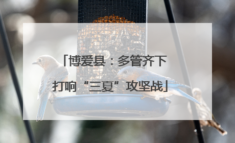 博爱县：多管齐下 打响“三夏”攻坚战